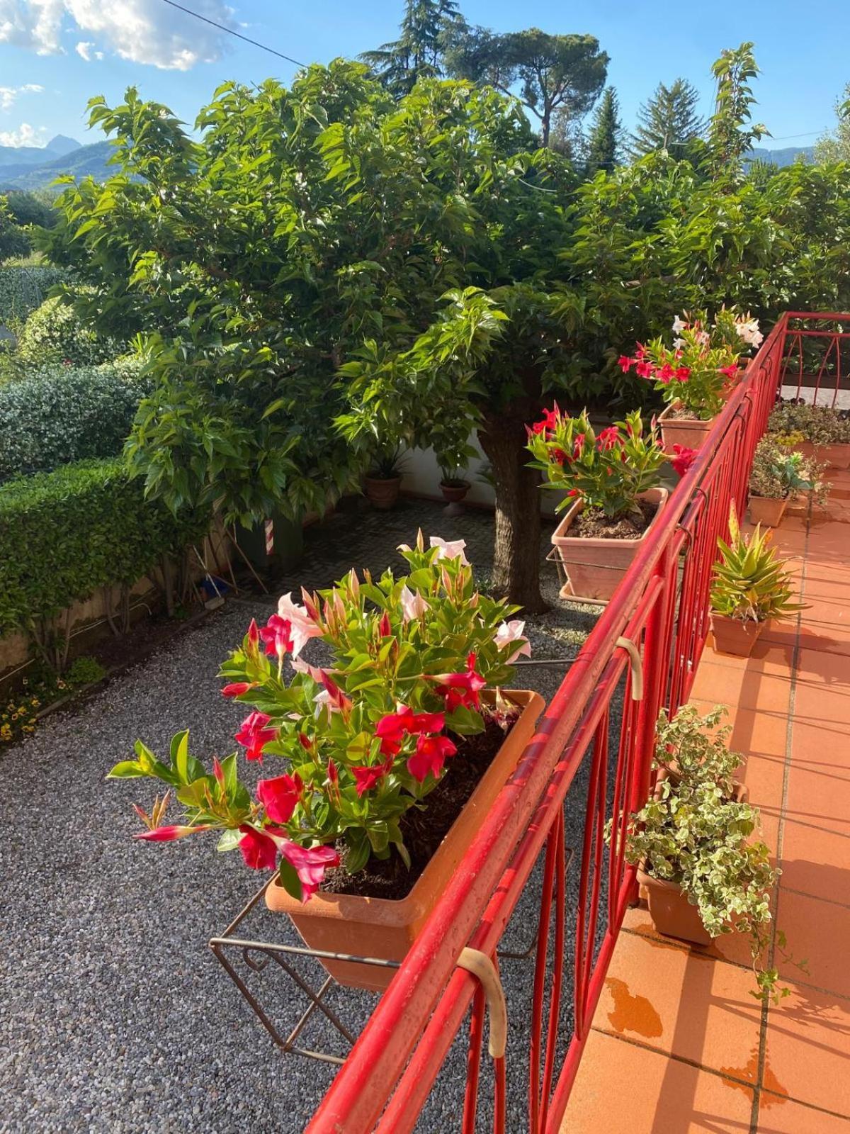 Casa Mary Villa Lucca Ngoại thất bức ảnh